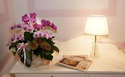 Hotel Villa Patriarca