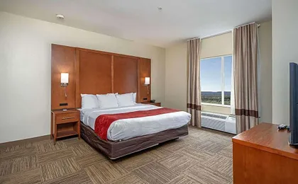 Comfort Suites University
