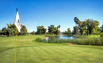 Orange Tree Resort