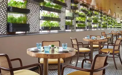 Hyatt Centric Ballygunge Kolkata