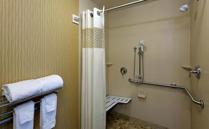 Hampton Inn Rochester-Webster