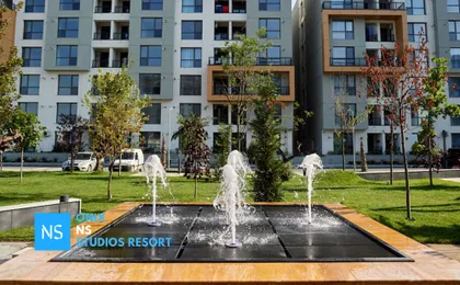 Onix Mamaia