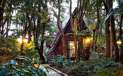 The Mouses House Rainforest Retreat