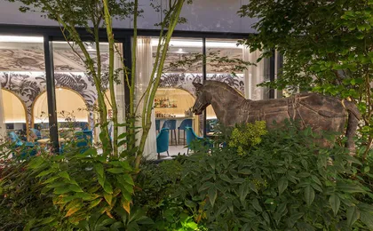 Garden