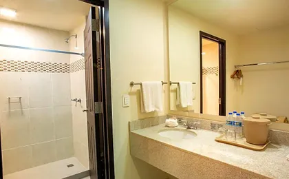 Hotel Plaza Calzada