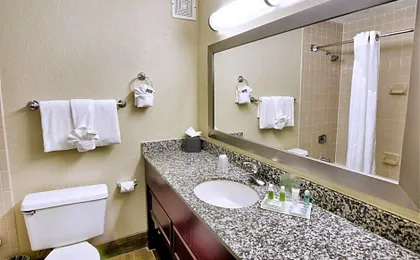 Holiday Inn St. Petersburg N - Clearwater By IHG
