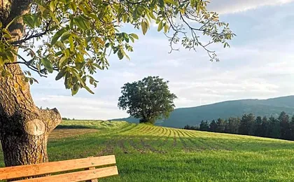Ferienzimmer Paunger