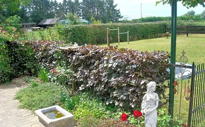 Bed en Boterham