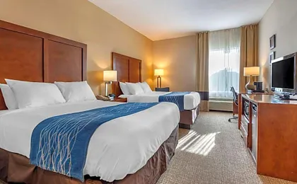 Comfort Inn Apalachin / Binghamton W Route 17
