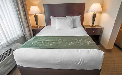 Comfort Suites University Area Notre Dame-South Bend