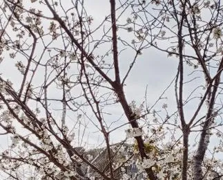 Casa Peidaigo immersa nel verde,vista mare e monti
