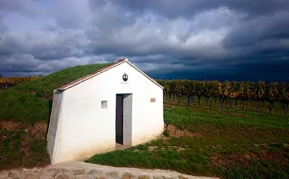 Weingut Wagner