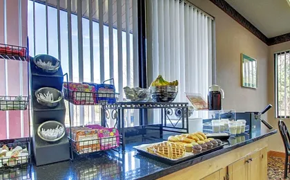 Econo Lodge Inn & Suites Forest