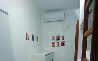 Galinha d'Angola