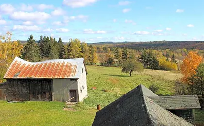 Maplehurst Manor Bed and Breakfast