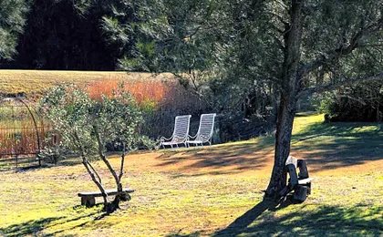Thistle Hill Guesthouse - walk to many wineries and restaurants