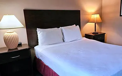 Bellis Inn