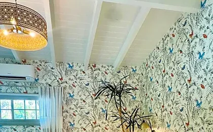 Dive Palm Springs Hotel - 21 & Over