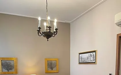 Domus Felix