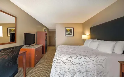 Best Western Park Oasis Inn
