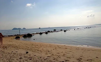 Phangan Cove Beach Resort