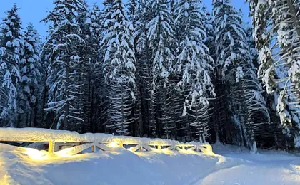 Algara hut