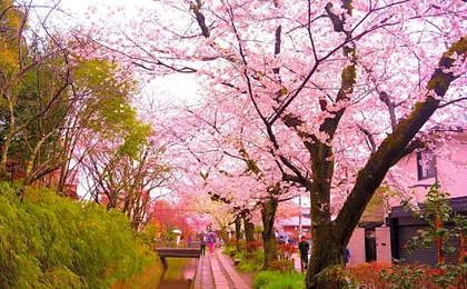 HOTEL LEGASTA KYOTO SHIRAKAWA SANJO