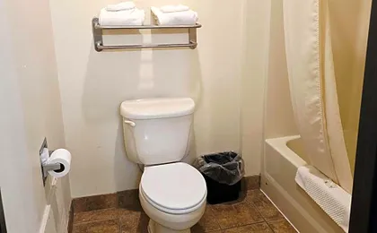 Quality Inn Durand I-69