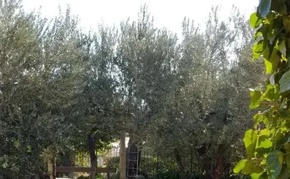 Casa Lavanda
