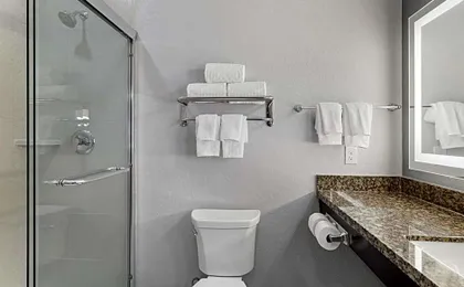 Best Western Plus Lake Jackson Inn & Suites