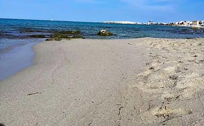 Medusa Gallipoli