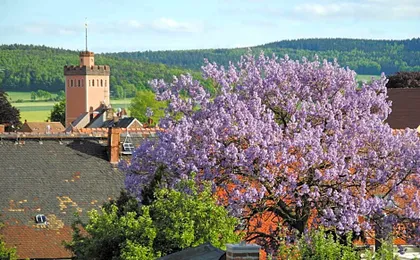 Flair Hotel Kamenz