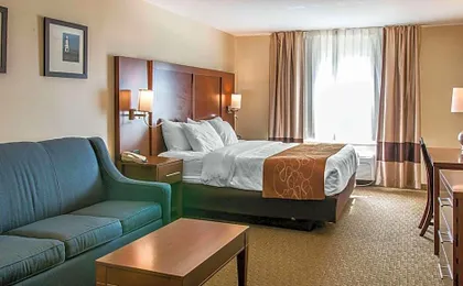Comfort Suites Wixom - Novi