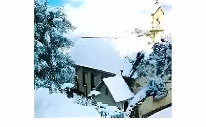 Hotel Kumar's