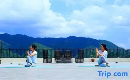 Arcadia International Forest Hotel