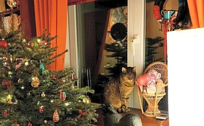 L'Atelier Bed and Breakfast