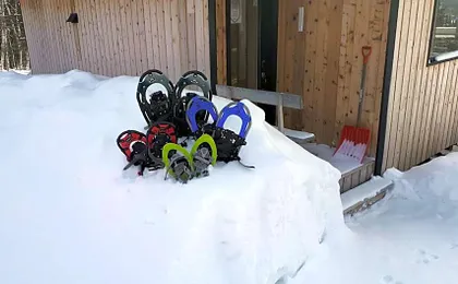 Résidence touristique Lodge des Bois