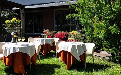 Hotel Sunflower