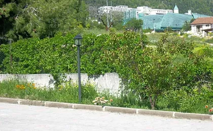 Hotel Margherita