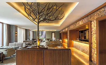 The Roseate New Delhi