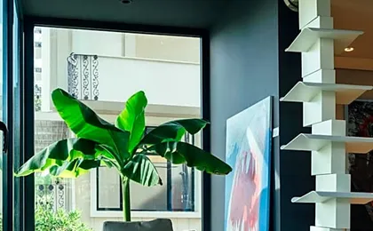 M House Art Hotel