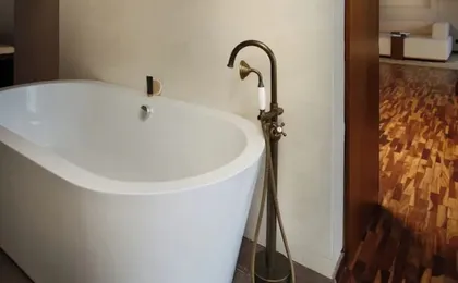 Kavya Himalayas