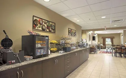 Microtel Inn & Suites By Wyndham Carrollton