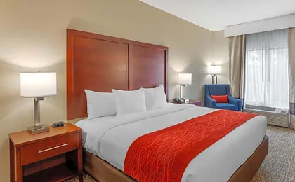 Comfort Inn & Suites Canton Riverstone Area