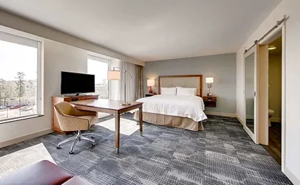 Hampton Inn & Suites North Houston Spring