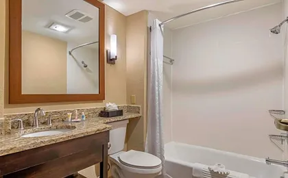 Comfort Inn & Suites Allen Park - Dearborn