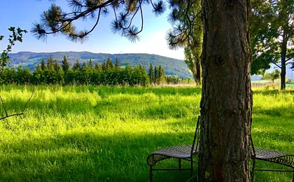 Naturforsthaus Gartenblick für Hunde - und naturverbundene Menschen