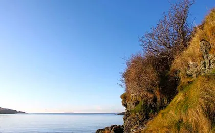 Puffin Lodge