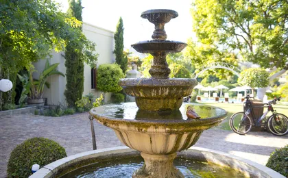 Cultivar Guest Lodge
