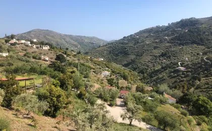 Casa Olivia
